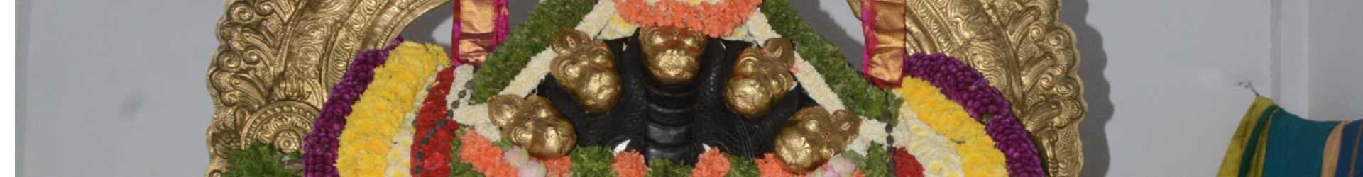 Aadishesha